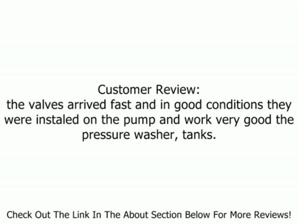 Briggs & Stratton 200344GS Valve Kit for Pressure Washers Review