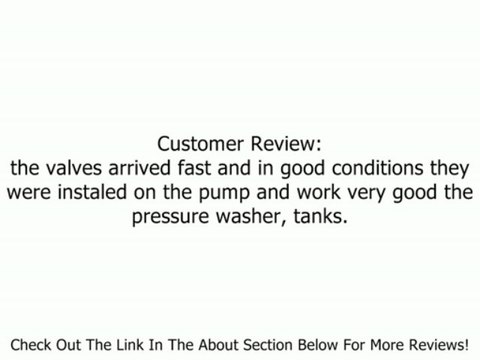 Briggs & Stratton 200344GS Valve Kit for Pressure Washers Review