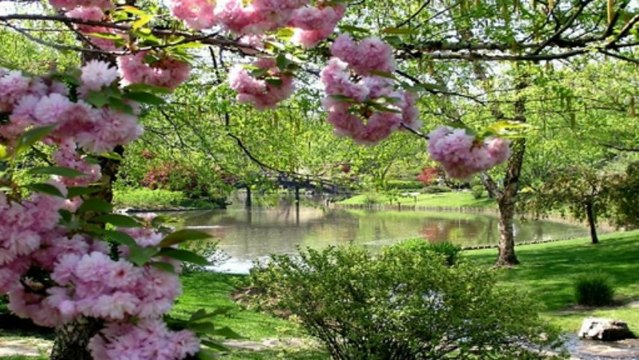 Images de rêves (PP) [720p]