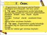 KPSS - Öğrenme Psikolojisi - Ders 1