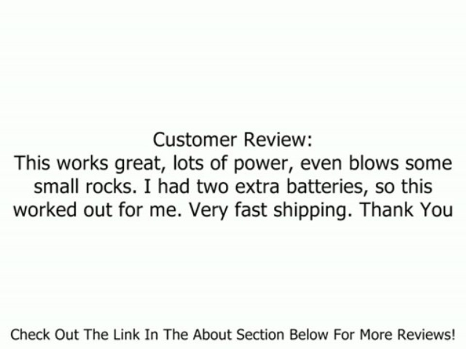 Black & Decker NSW18B 18-Volt NiCad Cordless Blower/Sweeper (Tool Only, No Battery) Review