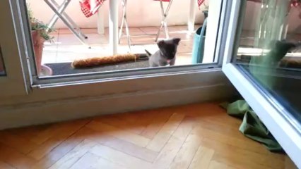 20130707_084537_J22_Saut d'Igloo du balcon