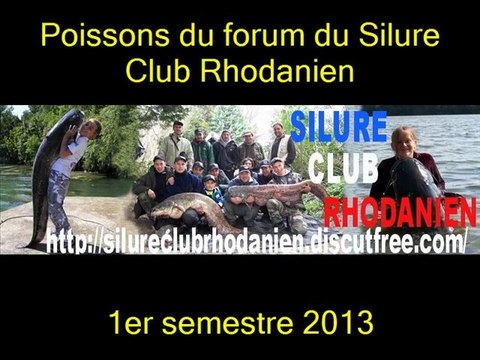 Silure Club Rhodanien : Le forum du SCR et ses poissons