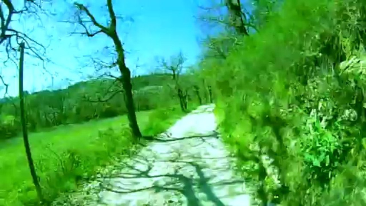 L'envol