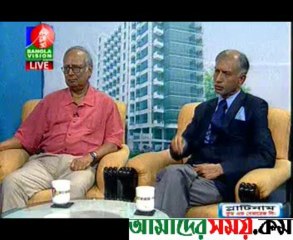 Bangla Vision (AAMSA AREFIN)