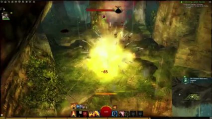 Guild Wars 2 - Bearly Jumping in The Observatory