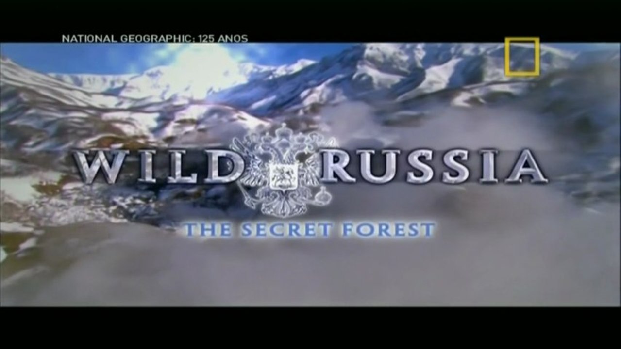 Rússia Selvagem - Florestas Secretas [NatGeo]