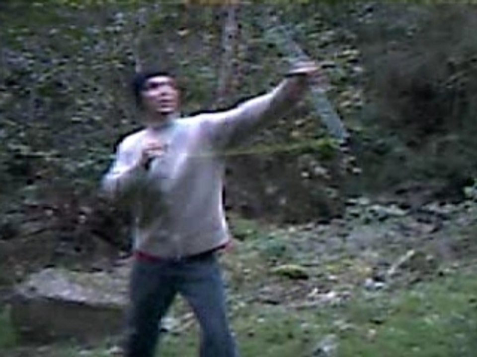 robin des bois