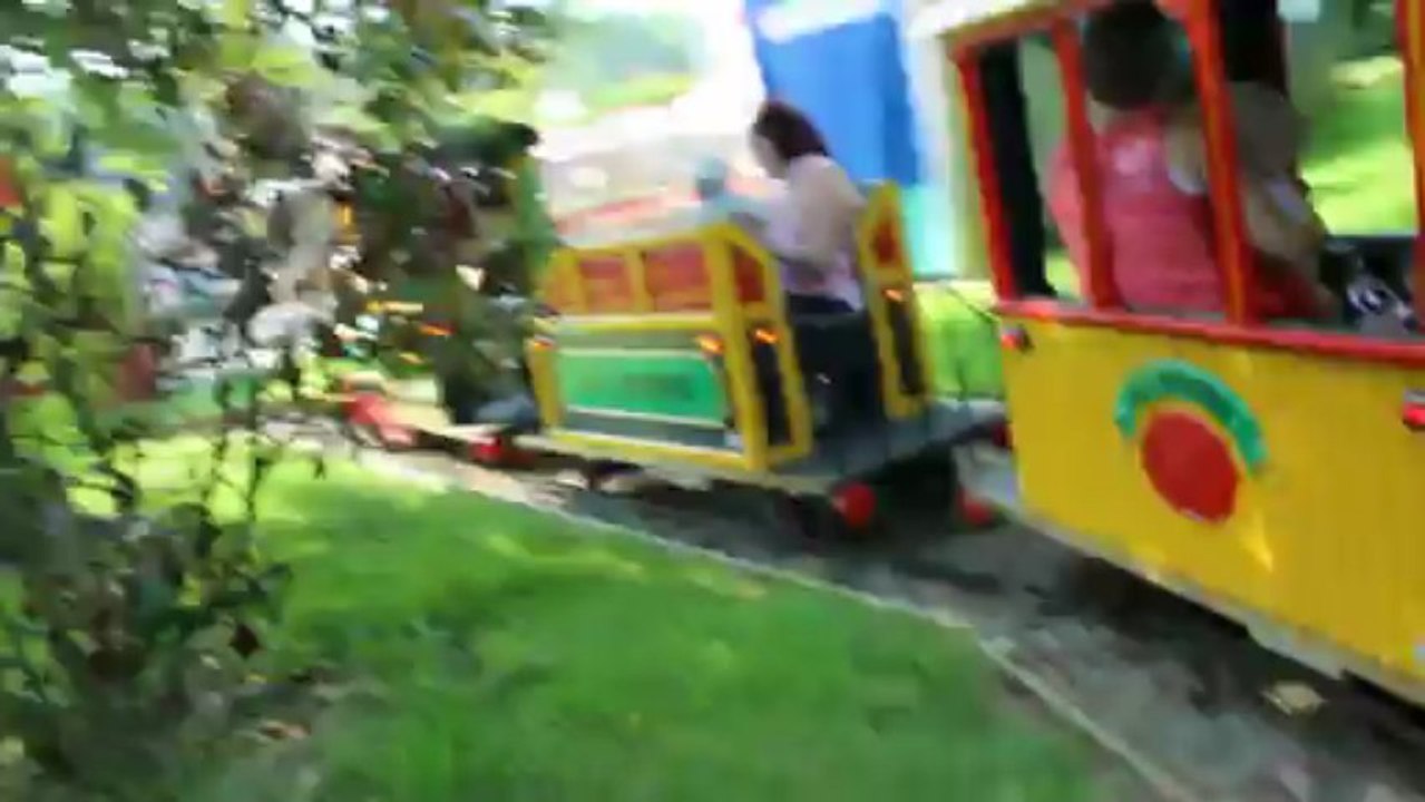 a dennlys parc le 8.07.2013 in petit tour de train avec mon frere et ma soeur