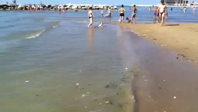 Rimini, riva della spiaggia piena di rifiuti