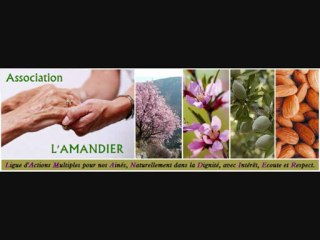 Jésus guérit un aveugle de naissance