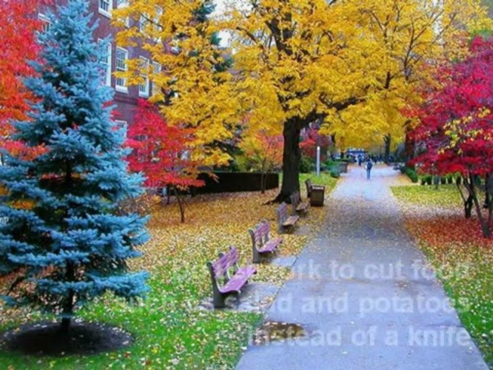 Dr Rodney Aziz - Switzerland Travel Guide - Dos and Donts