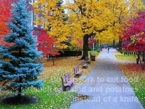 Dr Rodney Aziz - Switzerland Travel Guide - Dos and Donts