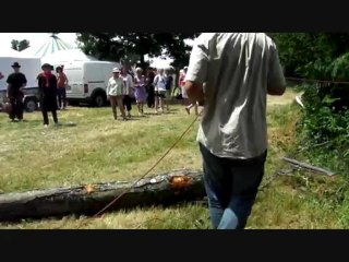 Démonstration de débardage par traction animale