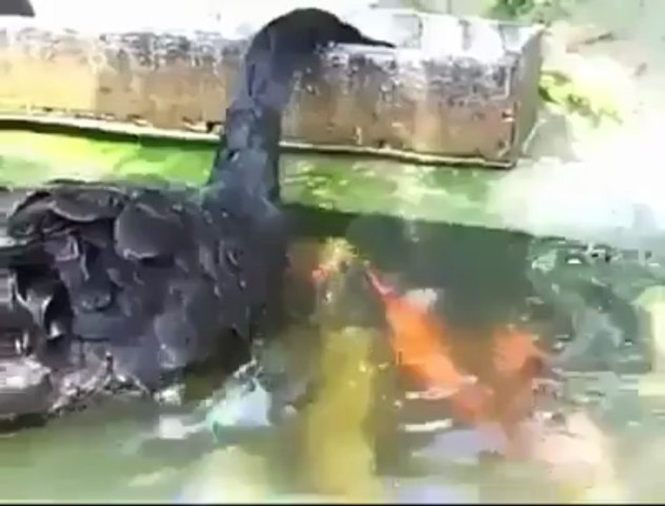 subhan allah