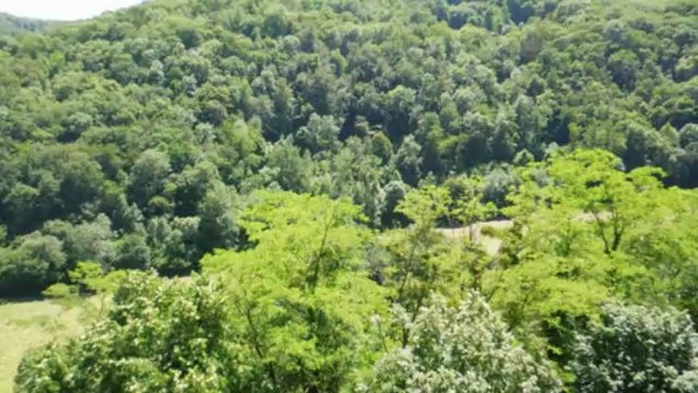 Pèlerinage Diocèse de Nice à Lourdes