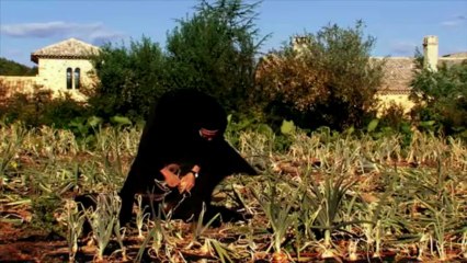 Pierre Rabhi au nom de la terre - documentaire de Marie-Dominique Dhelsing - BA