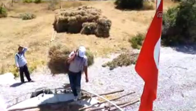 Balıkçı tekneleri ile ot taşıyorlar