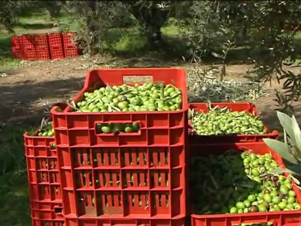 Οι αλλαγές που φέρνει η νέα ΚΑΠ για τους 'Ελλην...