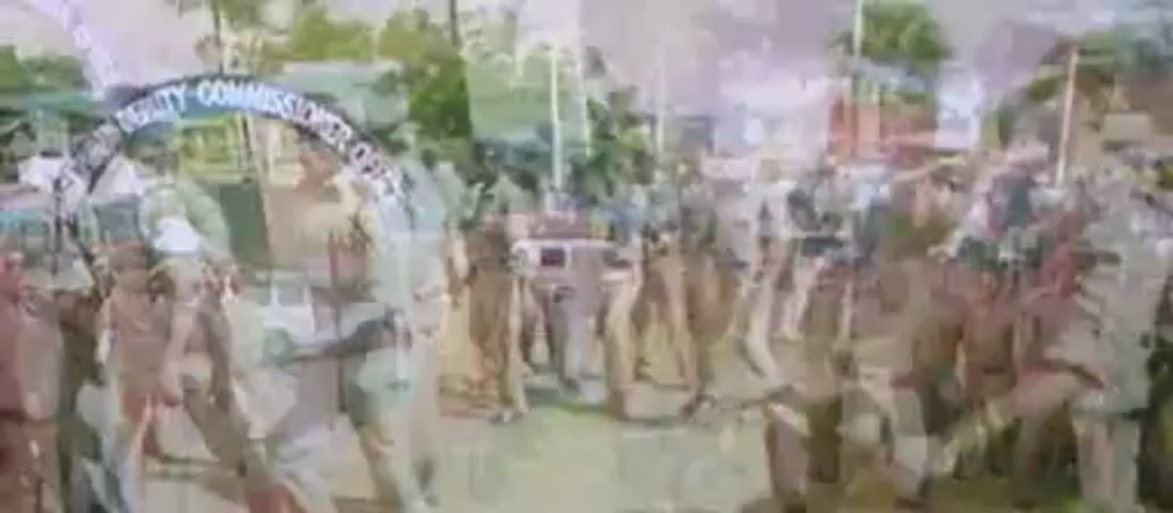 Poli (2013)