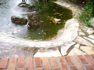 I'm singing in the rain