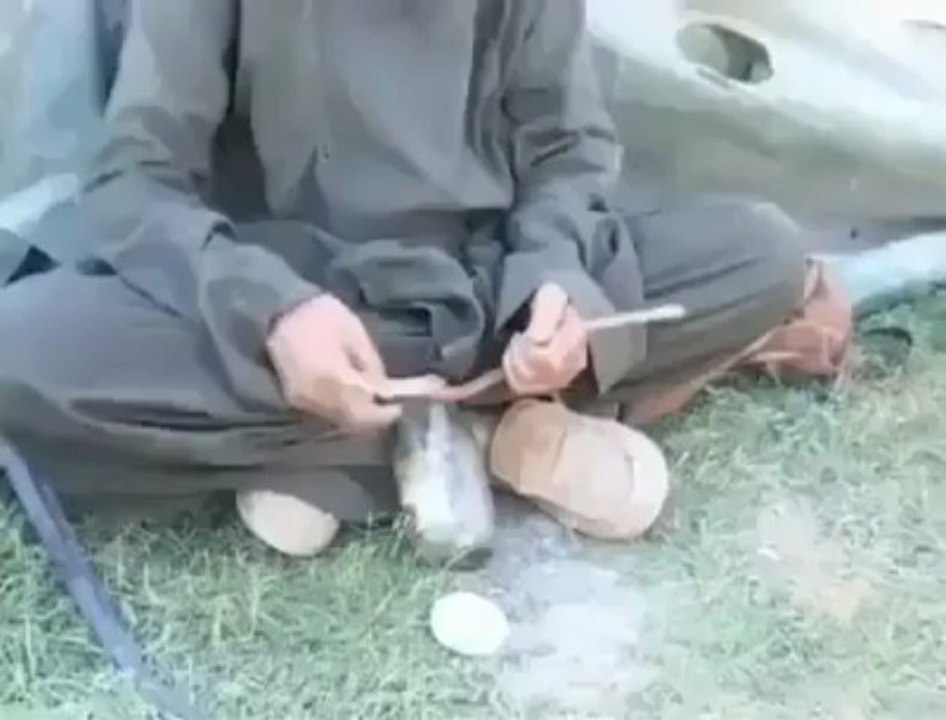 a man eat Snake