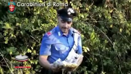 Operazione Dune Selvagge, CC sequestrano  20 kg di droga e arrestano 26 spacciatori a Capocotta
