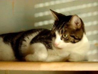 Marius qui fait une pause