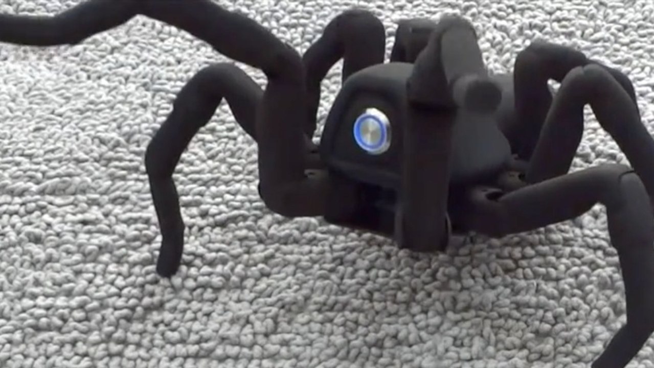 How Do You Feel About a Perfectly Articulated Robot Spider?