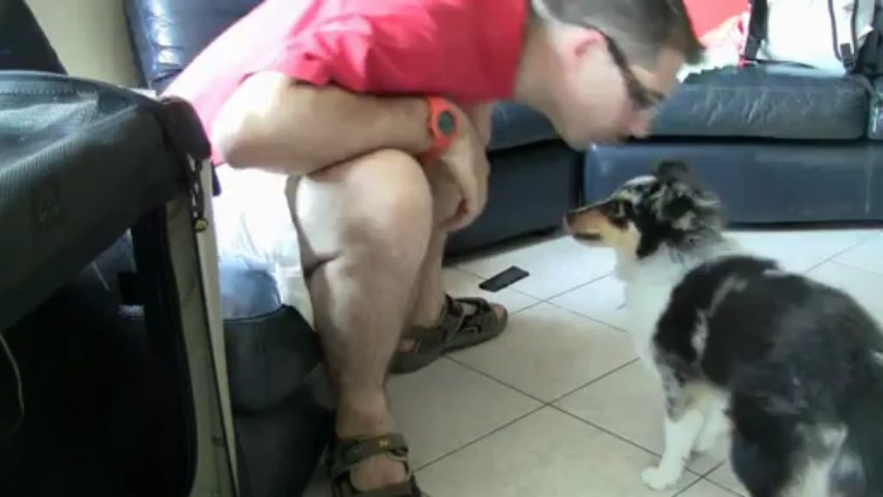 iokko pivote seance 1