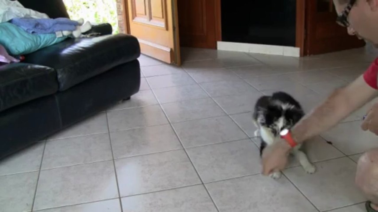 iokko roulade seance 2 - 5 mois