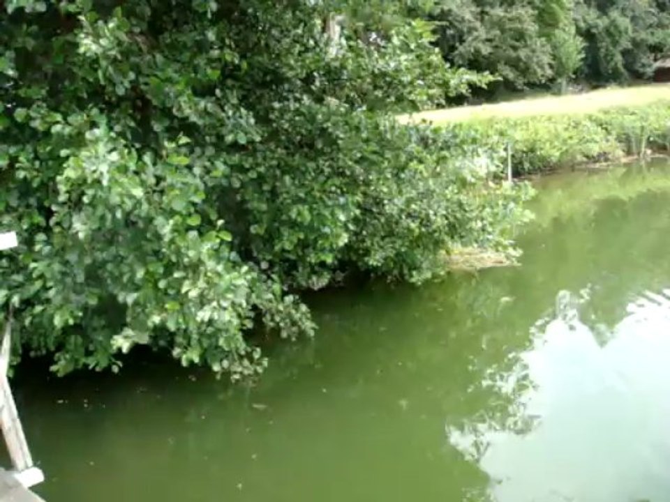 Etang de Pacy sur Eure