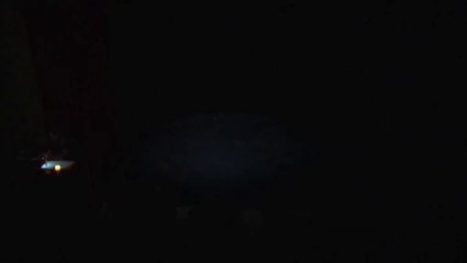 Objectif diffusion  Adami - SACD : Hamlet 60 (bande annonce)