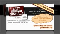 Learn Sinhala Video Tutorials - Ep-5 - The Language You Speak