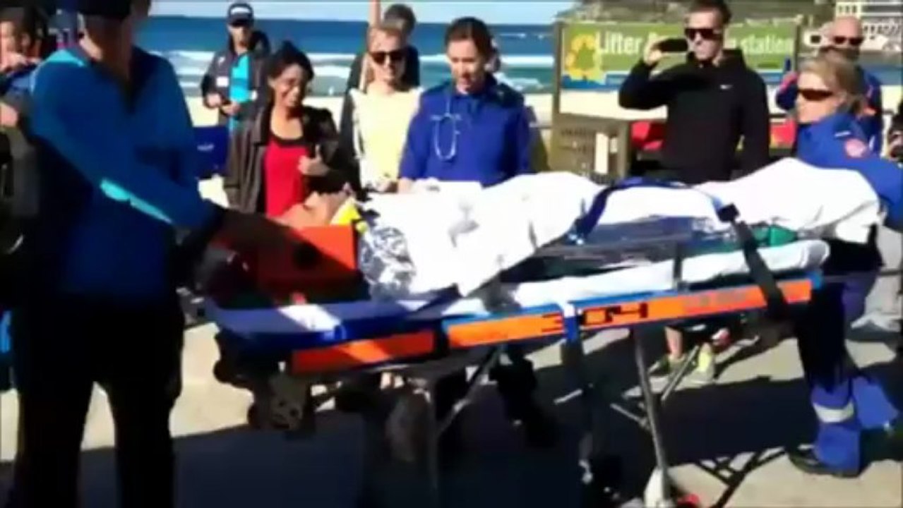 Huge Whale Knocks Surfer Unconscious in Bondi beach Australia
