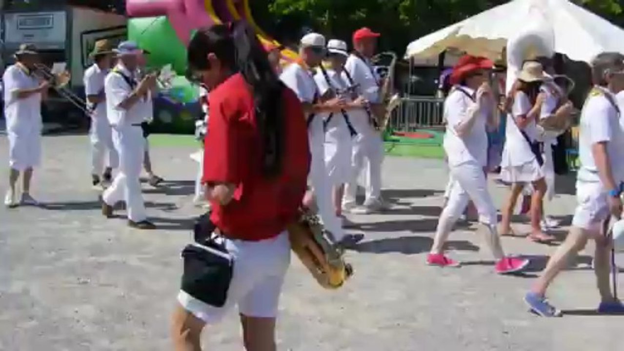 FESTIVAL BANDAS SAUVIAN 2013 - 3 COPYRIGHT B.TRIOULET