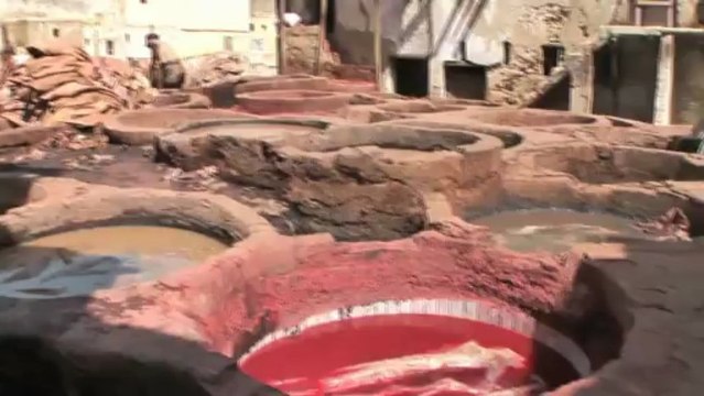 Fes et ses tanneries