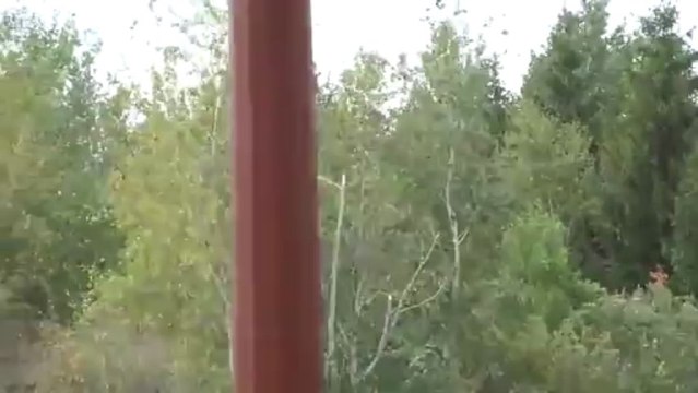 Tailler les arbres en hélico - L'hélicoptère taille-haie