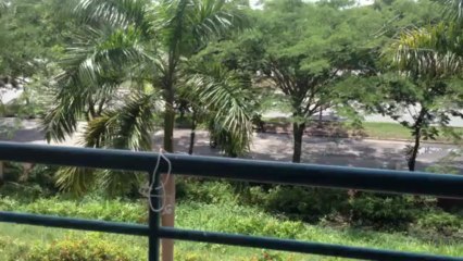 Cho thuê căn hộ Conic H.Bình Chánh