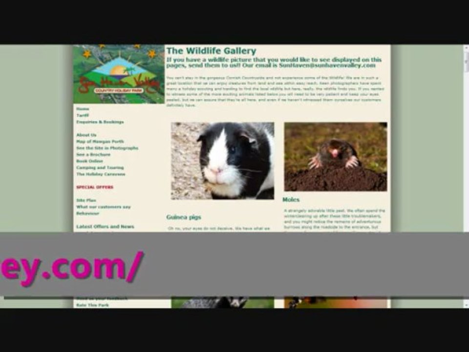 Camping sites in Cornwall