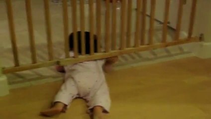 Mission Impossible : les bébés s’échappent!