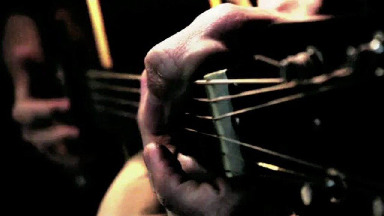 Le prince miiaou- studio lp4- 4