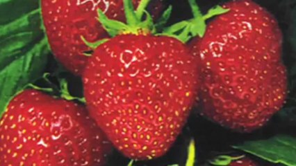 New Line Smile Network: Tips to Get White Teeth Naturally