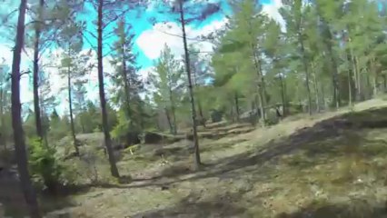 Les aventures de Lolo en Suède