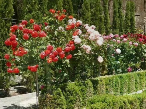 ALHAMBRA DE GRANADA (SPAIN)