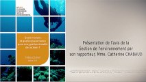 Quels moyens et quelle gouvernance pour une gestion durable des océans ? - cese