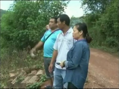 Chine : quand les éléphants sauvages menacent les habitants