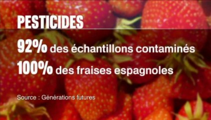 La fraise, cocktail de saveurs et de pesticides