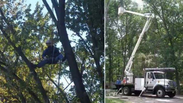 R.L. Elliott Enterprises - A Full Service Tree Care Company In Richmond & Glen Allen VA