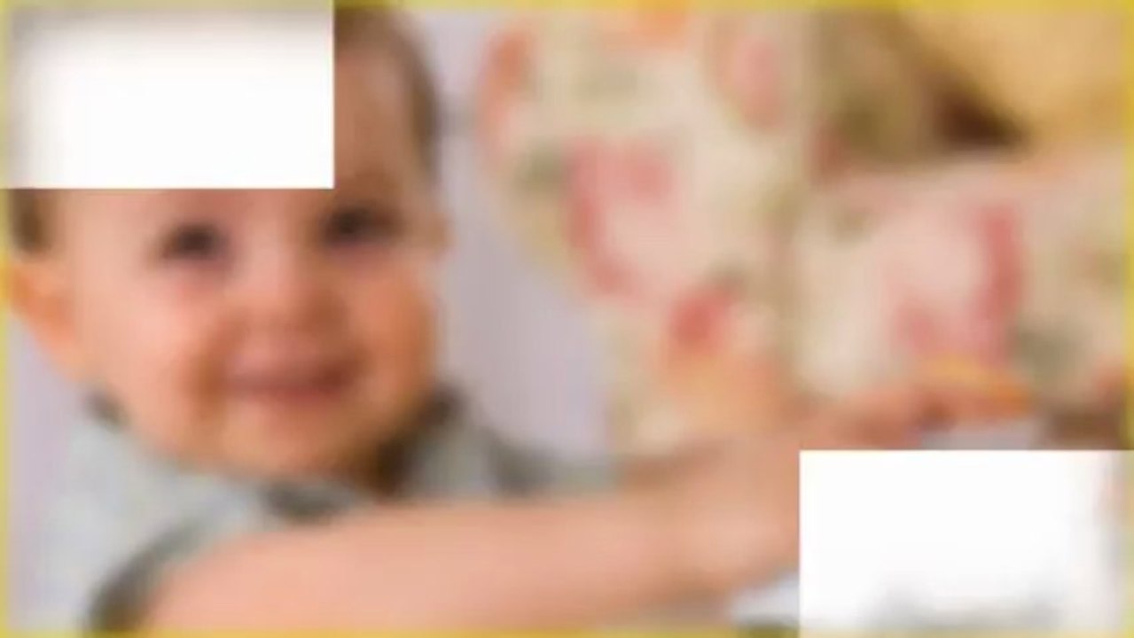 Toys et Cetera - Specialty Toy Store Chicago